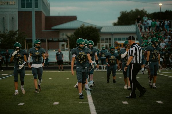 Welche Vorteile bieten Haustiere fÃ¼r die mentale Gesundheit?